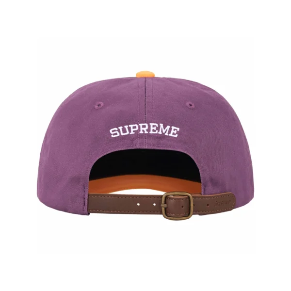 2-TONE S LOGO 6-PANEL