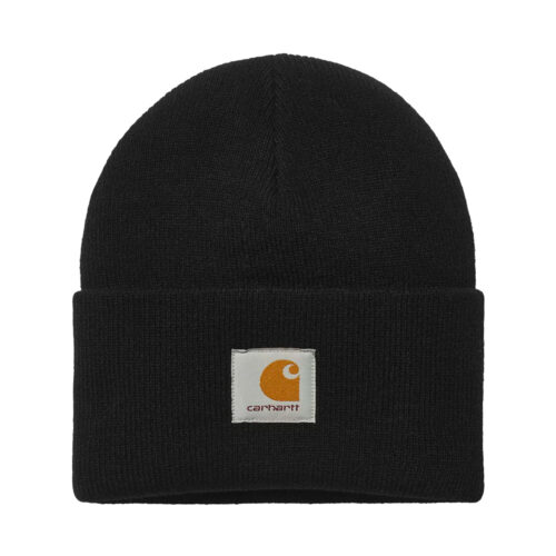 Watch Beanie