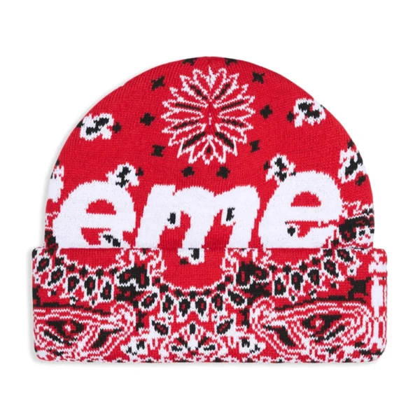 Big Logo Beanie