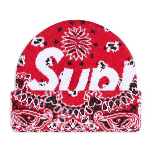 Big Logo Beanie