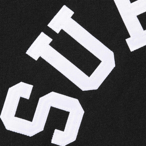 Champion Embroidery Hoodie