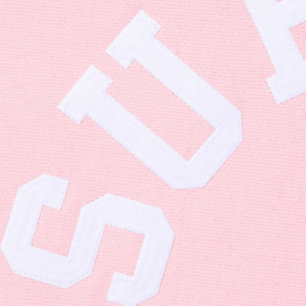 Champion Embroidery Hoodie